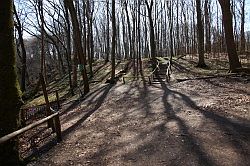 Jasmund National Park (Rügen)